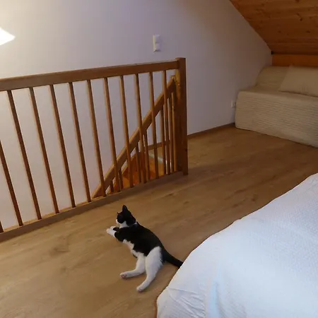 Luna Rossa By Globalimmoservice Bad Kleinkirchheim
